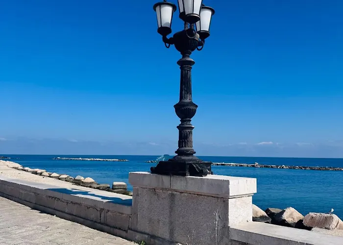 Mimi Maison Vecchia *